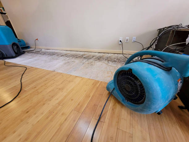 Reliable Basement Flood Cleanup contractor in Spencer, WI by Hirex Water Damage