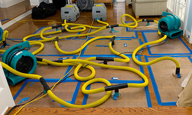 Professional Basement Flood Cleanup technician working in Spencer, WI